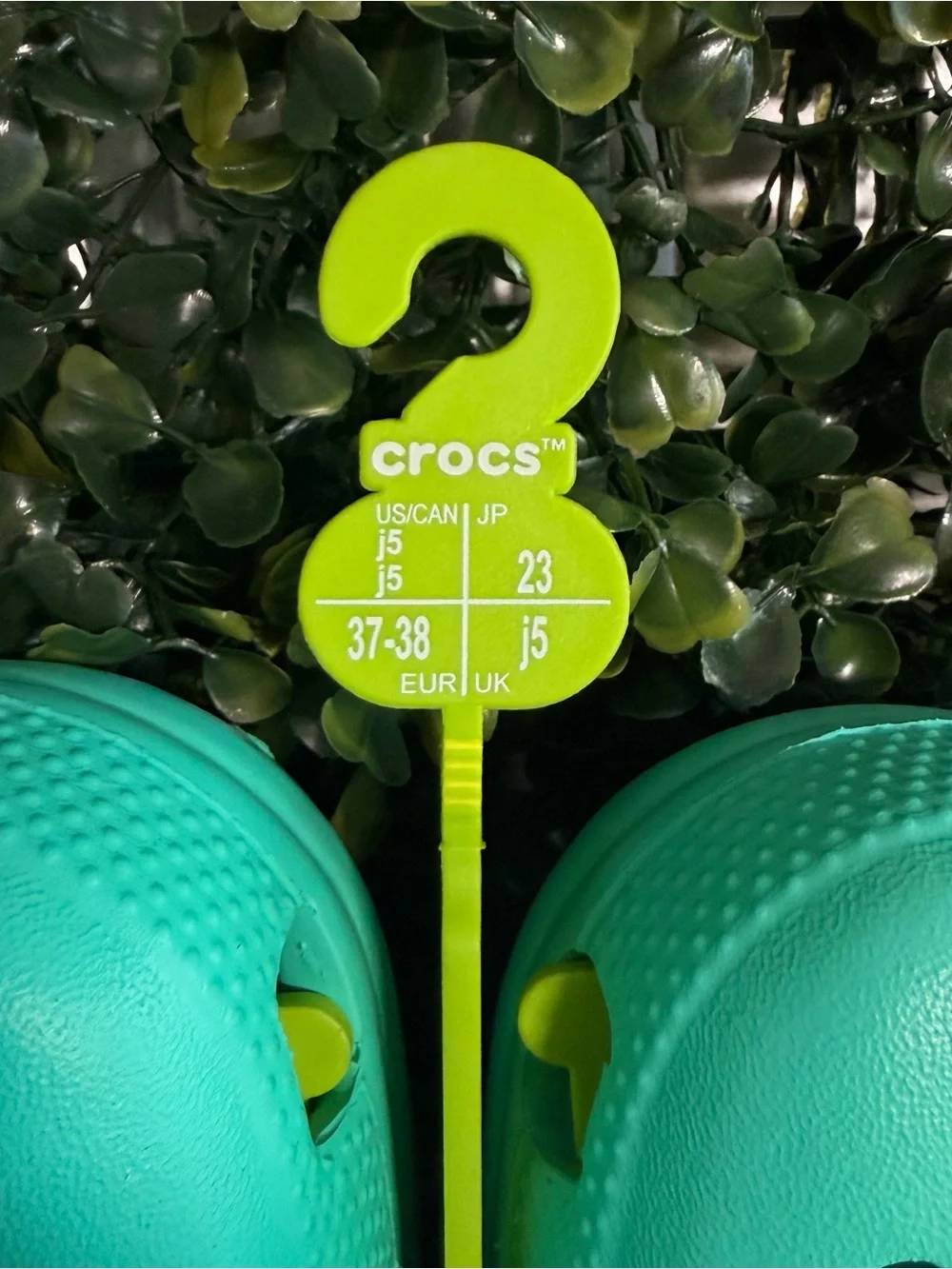 CROCS Kids Classic Clog in Teal